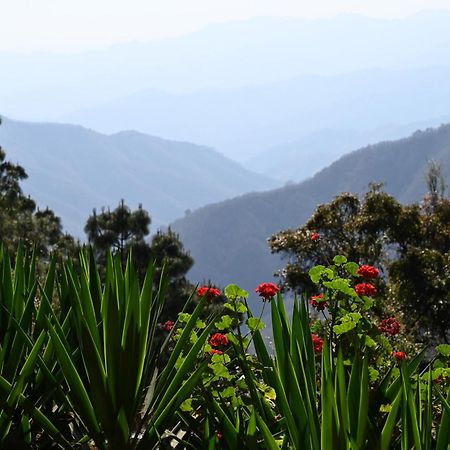 San Jose Del Pacifico- Cabanas Camino Al Cielo 1 Kültér fotó